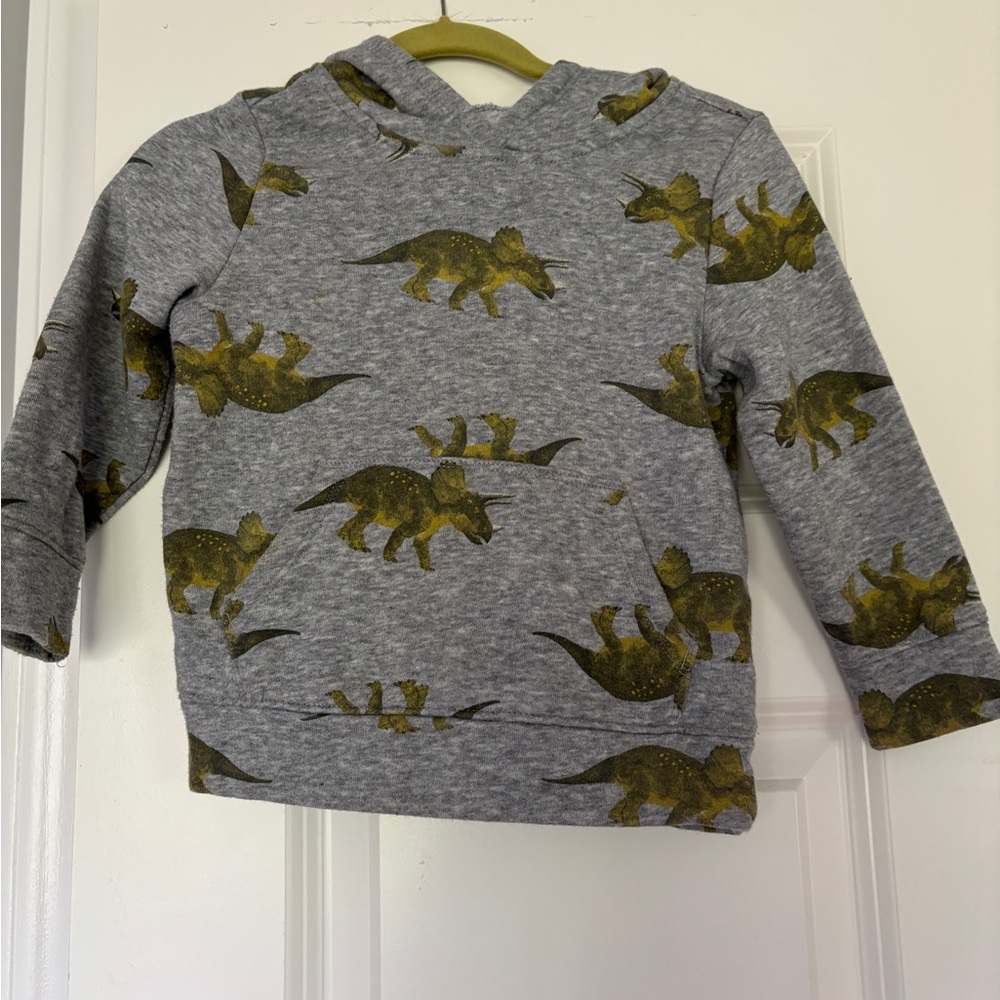 Old Navy dinosaur sweatshirt